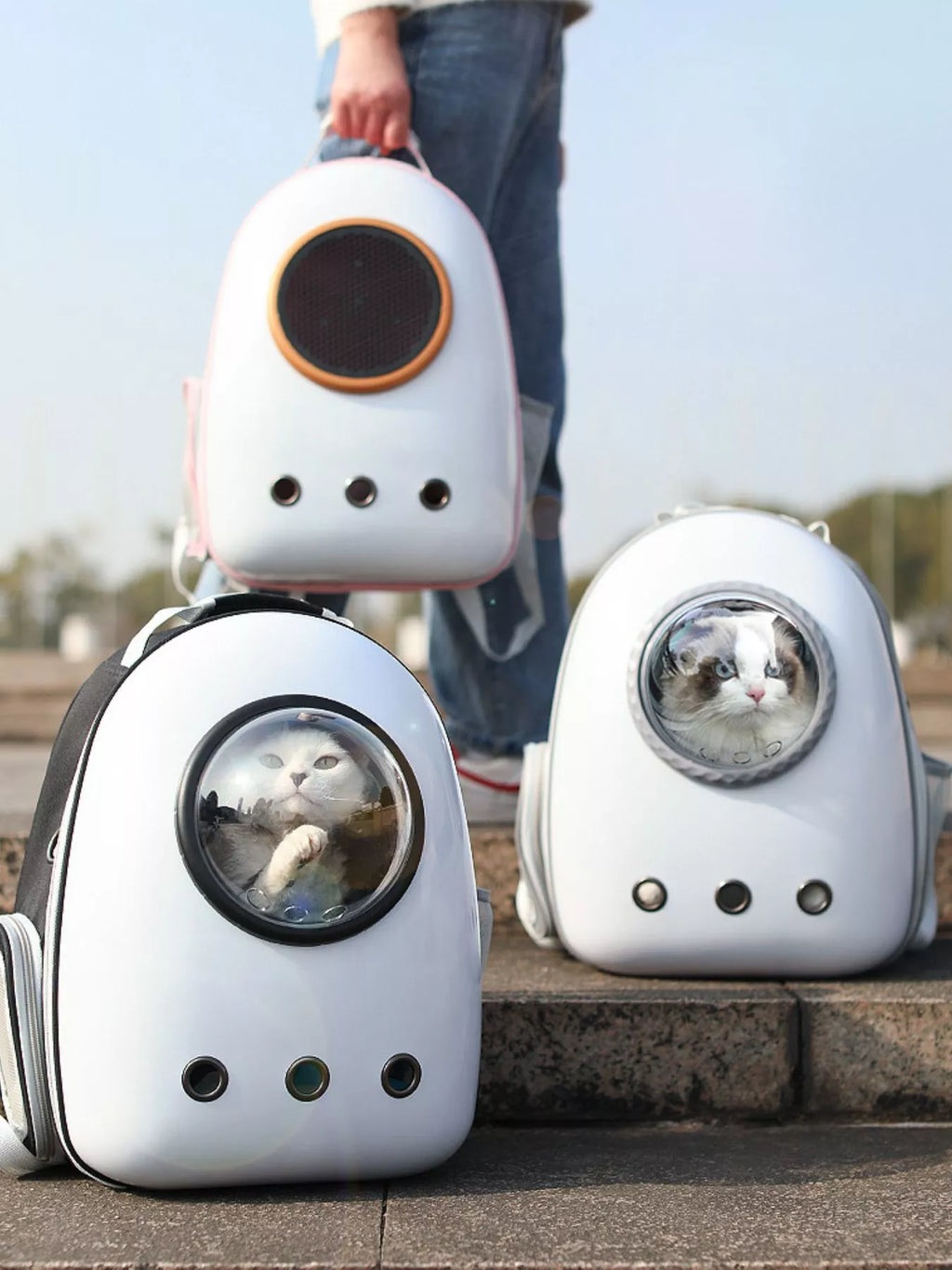 women's space capsule transparent pet carrier backpack - additional image
