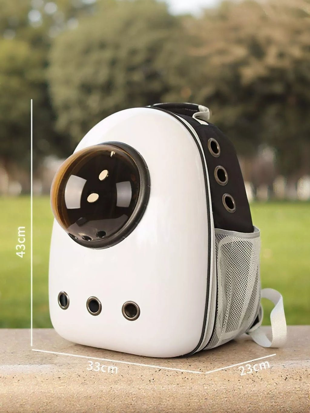 women's space capsule transparent pet carrier backpack - product detail