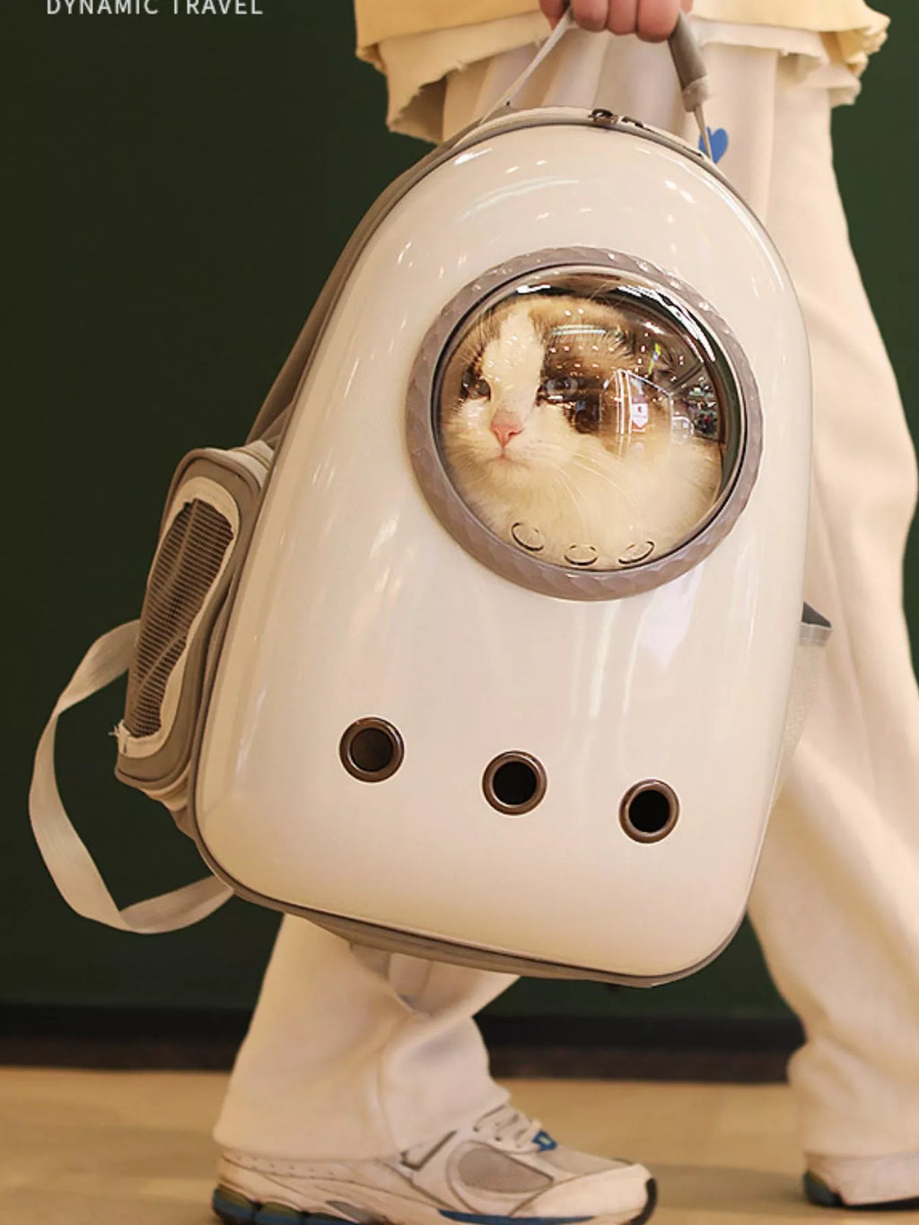 women's space capsule transparent pet carrier backpack - styling option