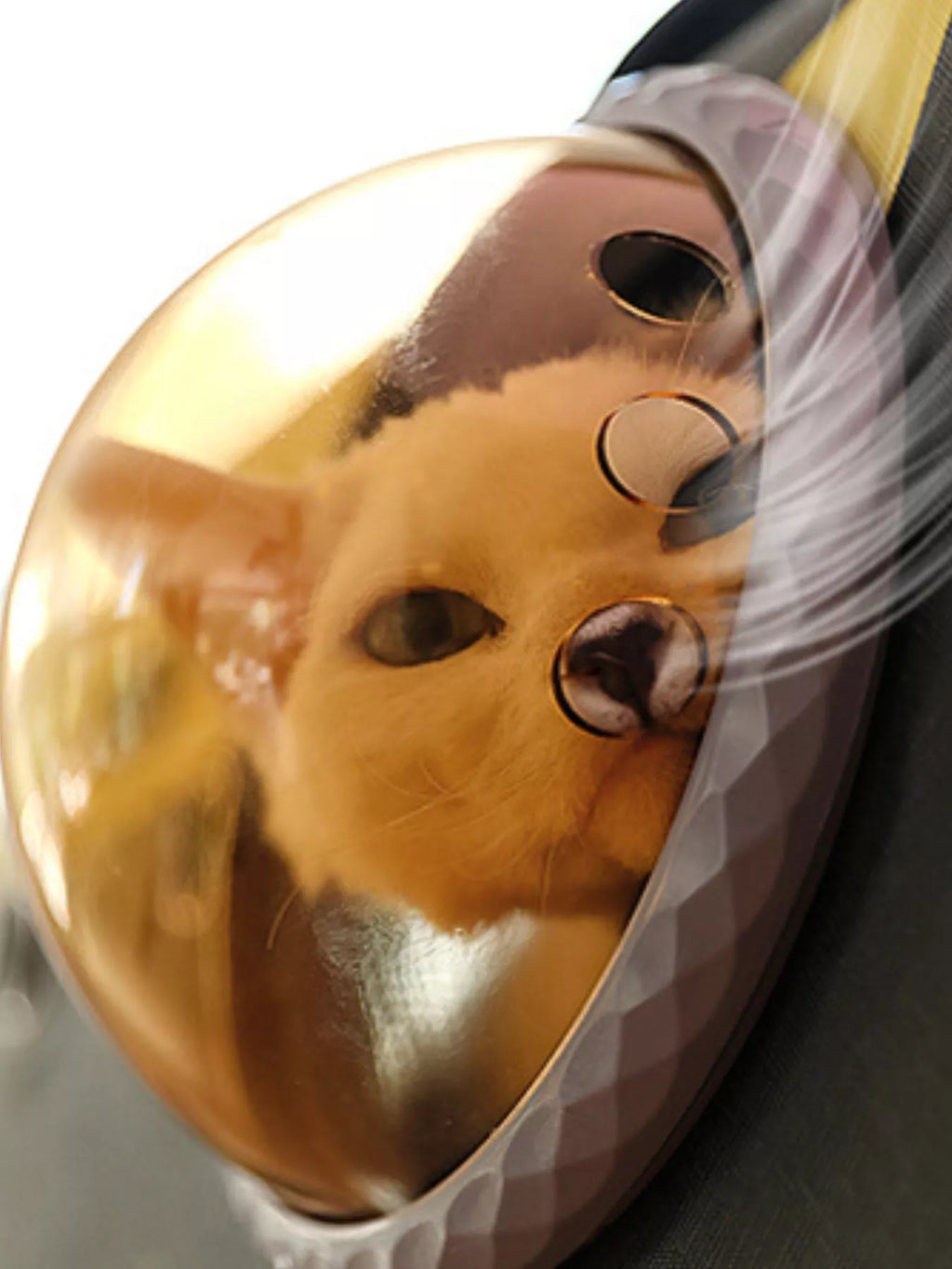 portable bubble window pet carrier bag - product detail