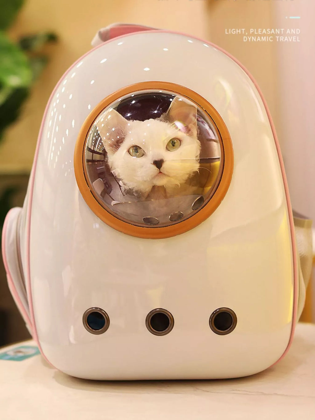 women's space capsule transparent pet carrier backpack - main product image