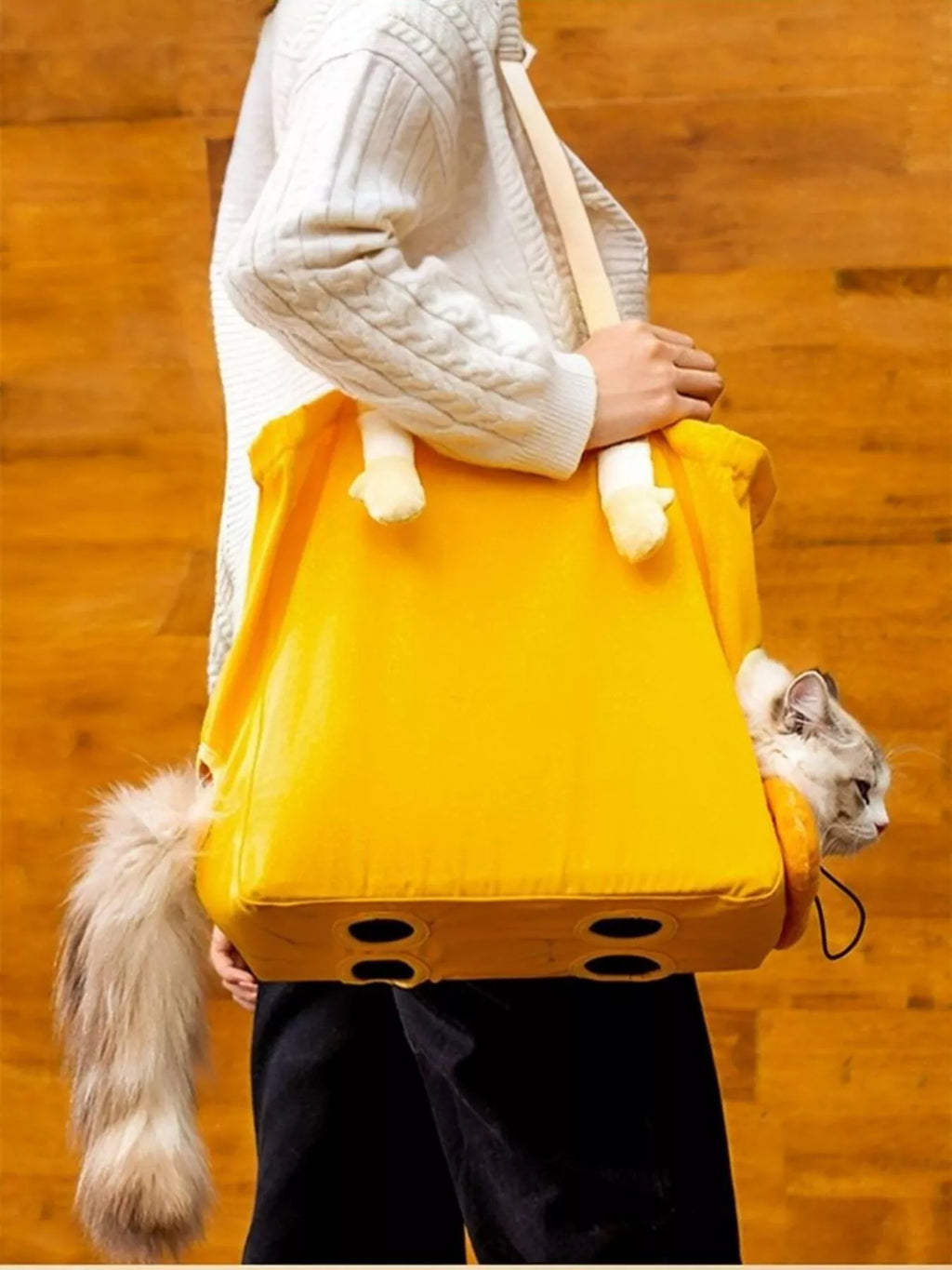 portable breathable pet bag - back view