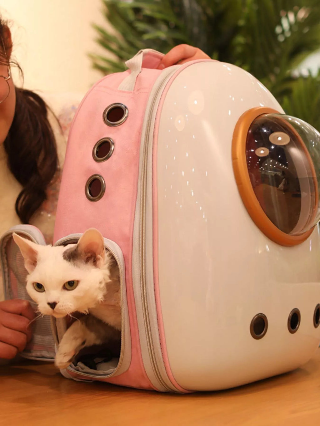 women's space capsule transparent pet carrier backpack - detail shot