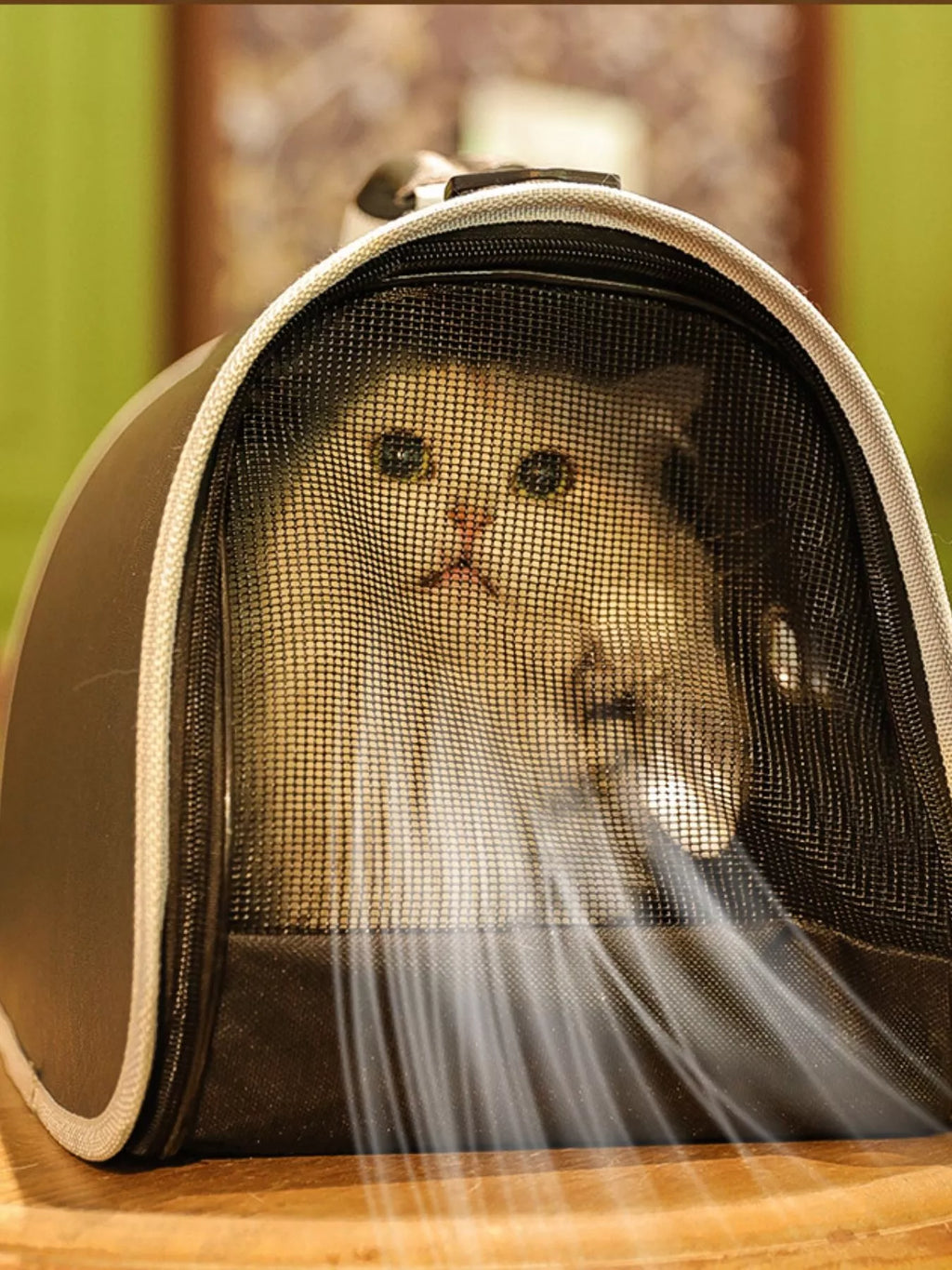 portable bubble window pet carrier bag - styling option