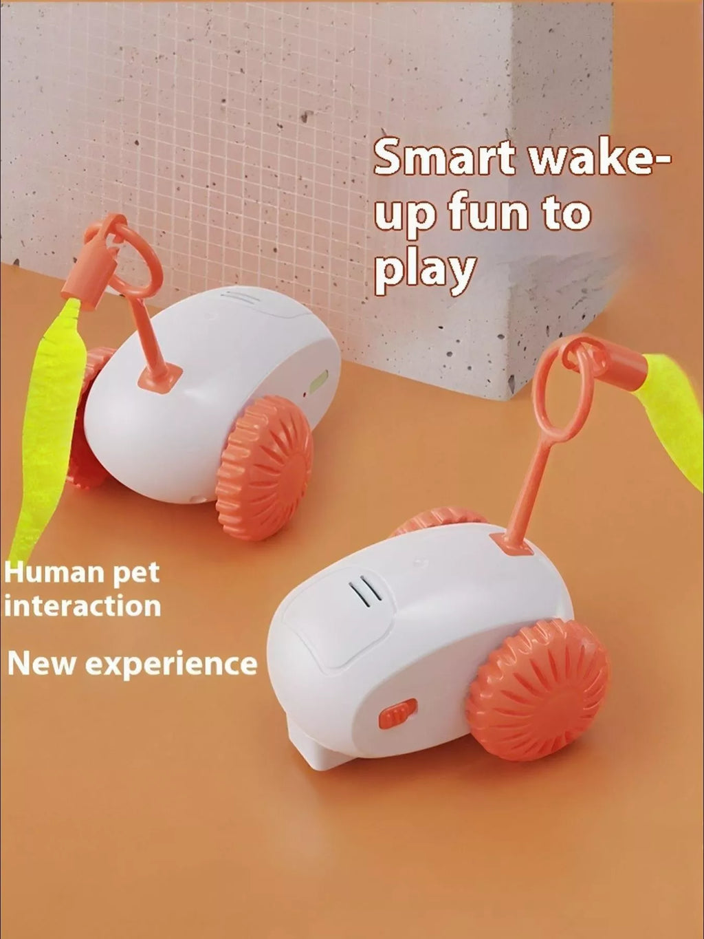 interactive self-rotating pet teaser toy - second view
