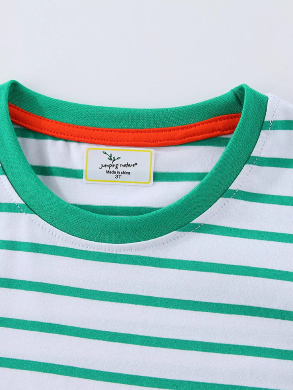 women's children's dinosaur adventure striped long sleeve t-shirt - detail shot
