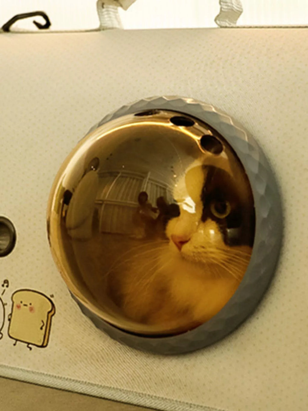 portable bubble window pet carrier bag - additional image