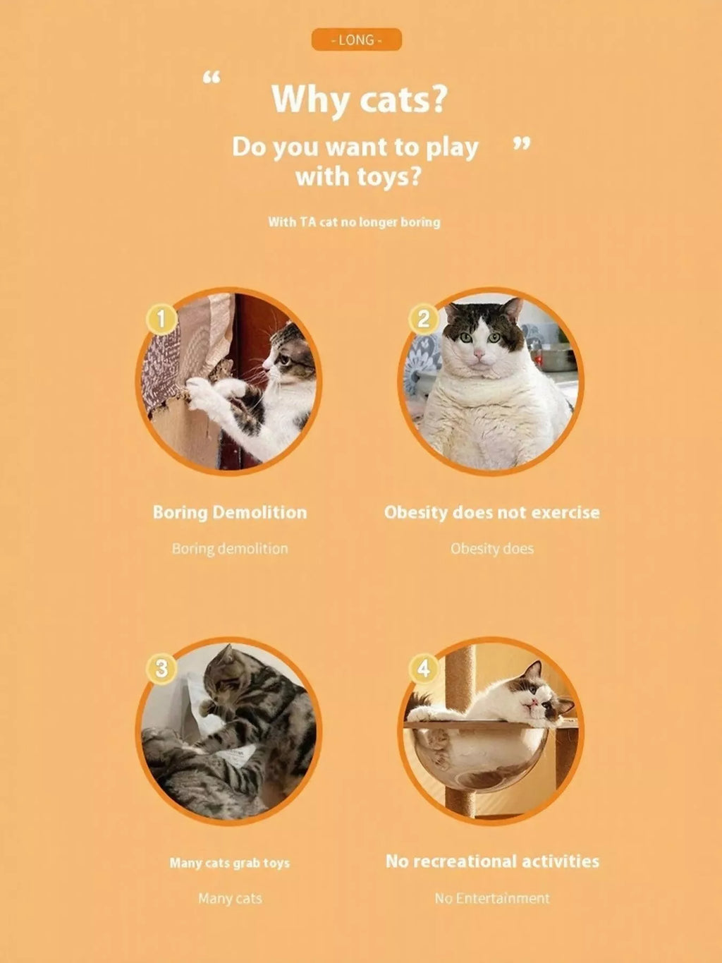 interactive self-rotating pet teaser toy - additional image