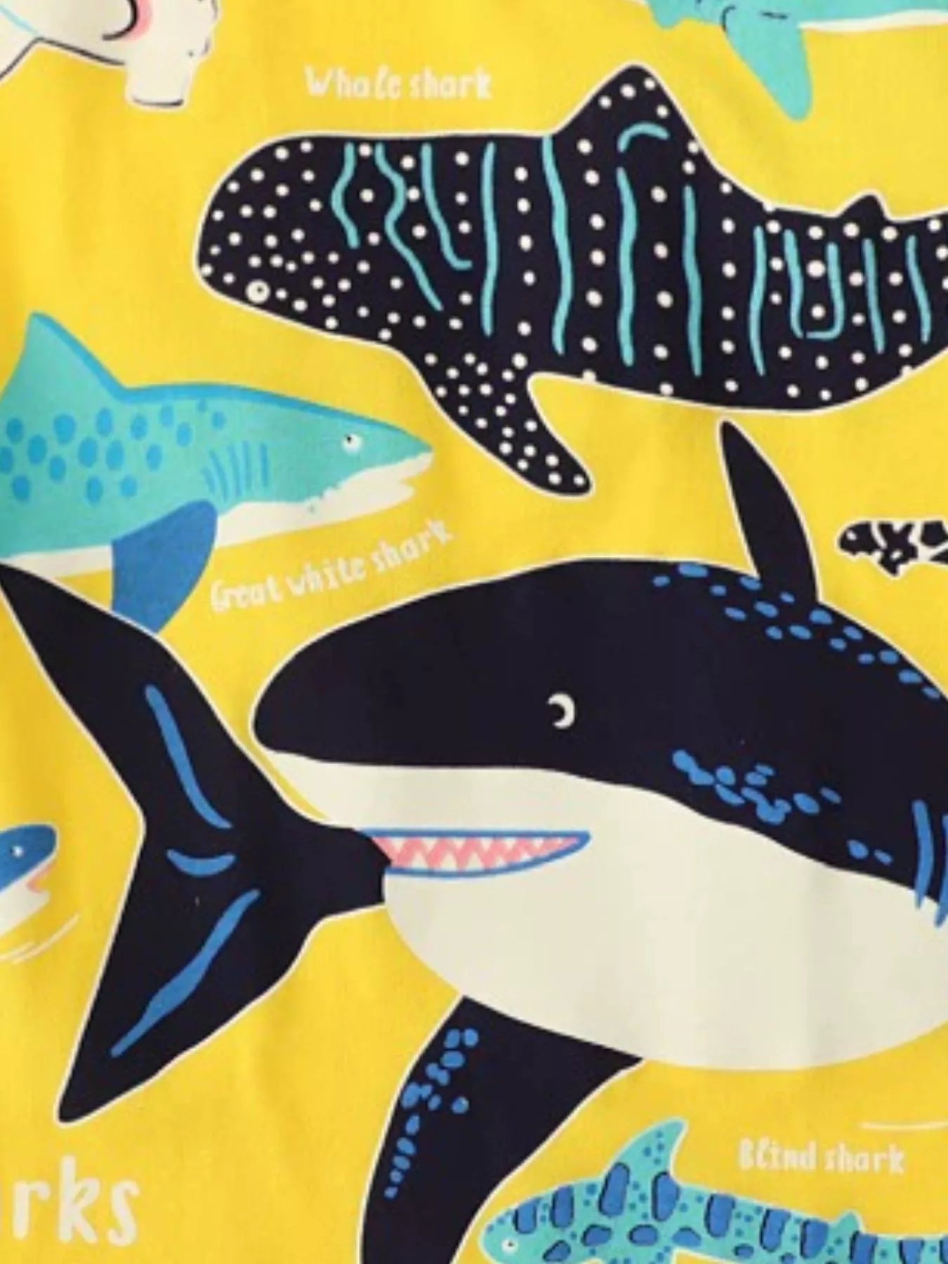 d00475a3-5c70-4c4d-96e1-75a1cf72aa02-Max-Origin