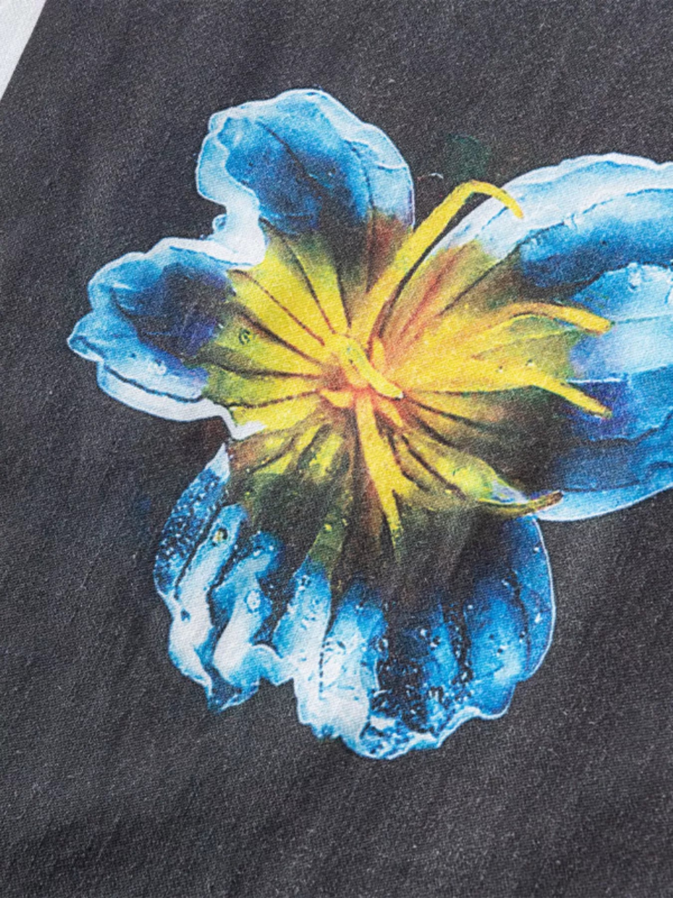 men's men's plus size floral graphic relaxed fit t-shirt - back view